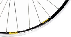 Delux + Open Pro + Sapim Race 28" Laufrad - Auslaufmodell -Bicicleta Verkäufe 2024 125151
