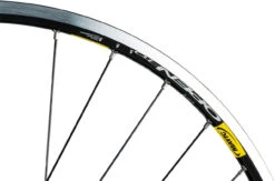 Delux + Open Pro + Sapim Race 28" Laufrad - Auslaufmodell -Bicicleta Verkäufe 2024 137774