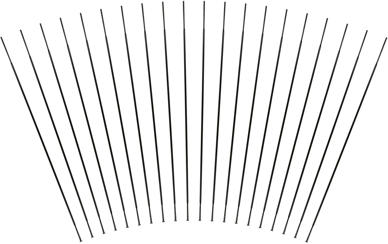 Mavic Crossride Tubeless / XA Elite 29" Ersatzspeichen Ab Modell 2016 3 Mavic Crossride Tubeless / XA Elite 29" Ersatzspeichen Ab Modell 2016