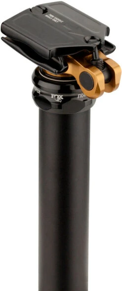 Fox Racing Shox Transfer Internal Factory 100 Mm Sattelstütze Modell 2021 -Bicicleta Verkäufe 2024 393443