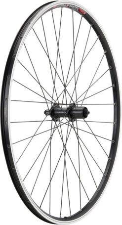 Urban Acera V-Brake DT Swiss 535 28" Laufradsatz 24 Urban Acera V-Brake DT Swiss 535 28" Laufradsatz -Bicicleta Verkäufe 2024 396798