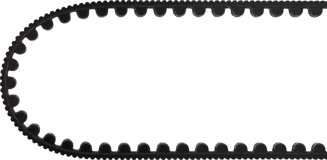 Gates CDX Riemen 8 Gates CDX Riemen – Bild 6