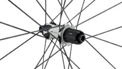 Dt-swiss ER 1600 SPLINE 32 Disc Center Lock 28" Laufradsatz -Bicicleta Verkäufe 2024 436974